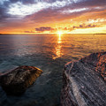 Evening Flare
