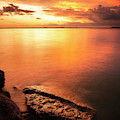 Evening Splendor